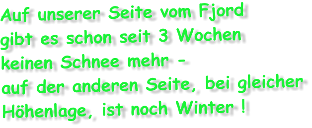 Auf unserer Seite vom Fjord gibt es schon seit 3 Wochen keinen Schnee mehr -  auf der anderen Seite, bei gleicher Hhenlage, ist noch Winter !