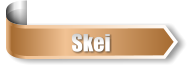 Skei